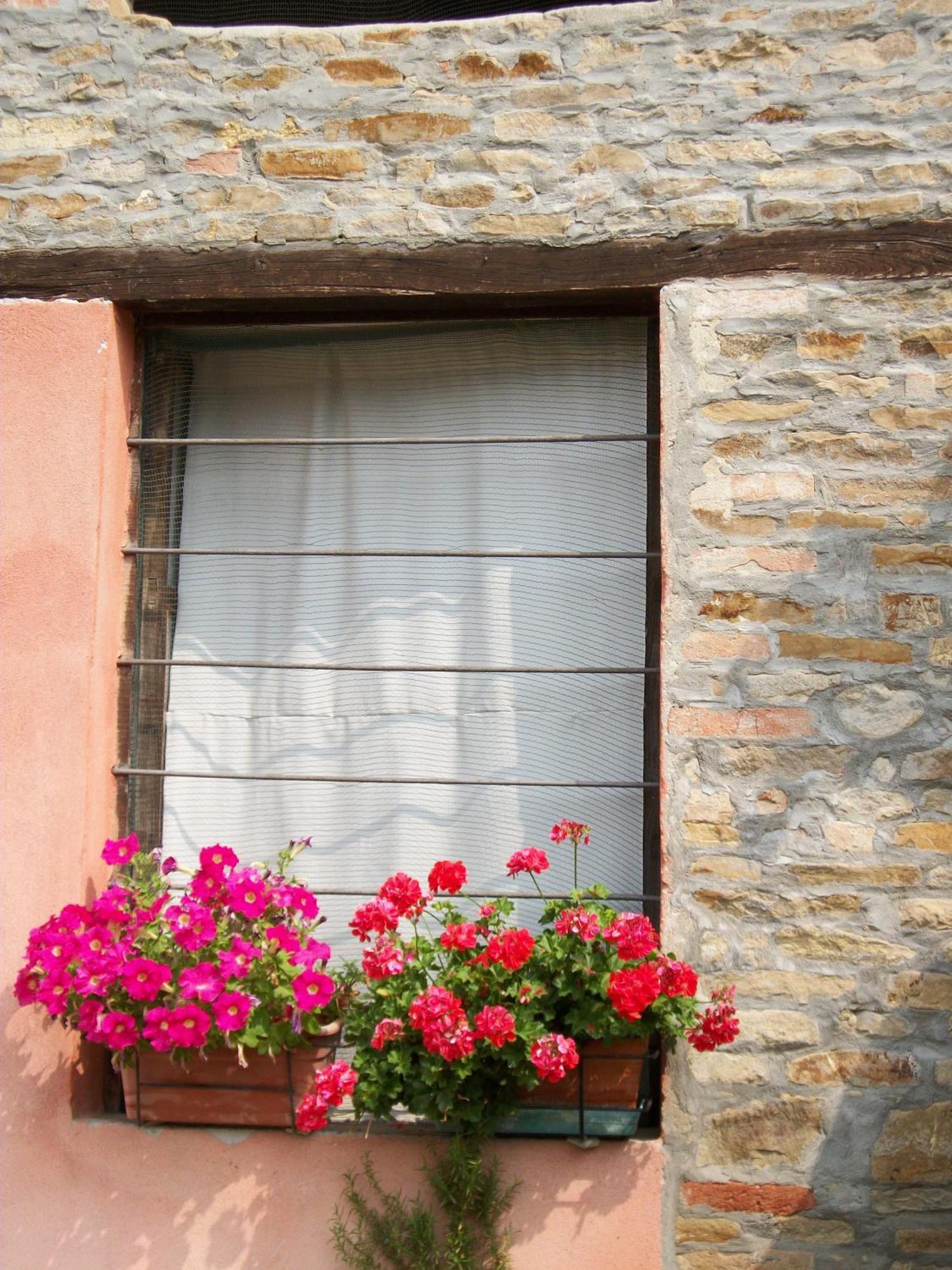 Agriturismo Ca Trinche Camo Eksteriør billede