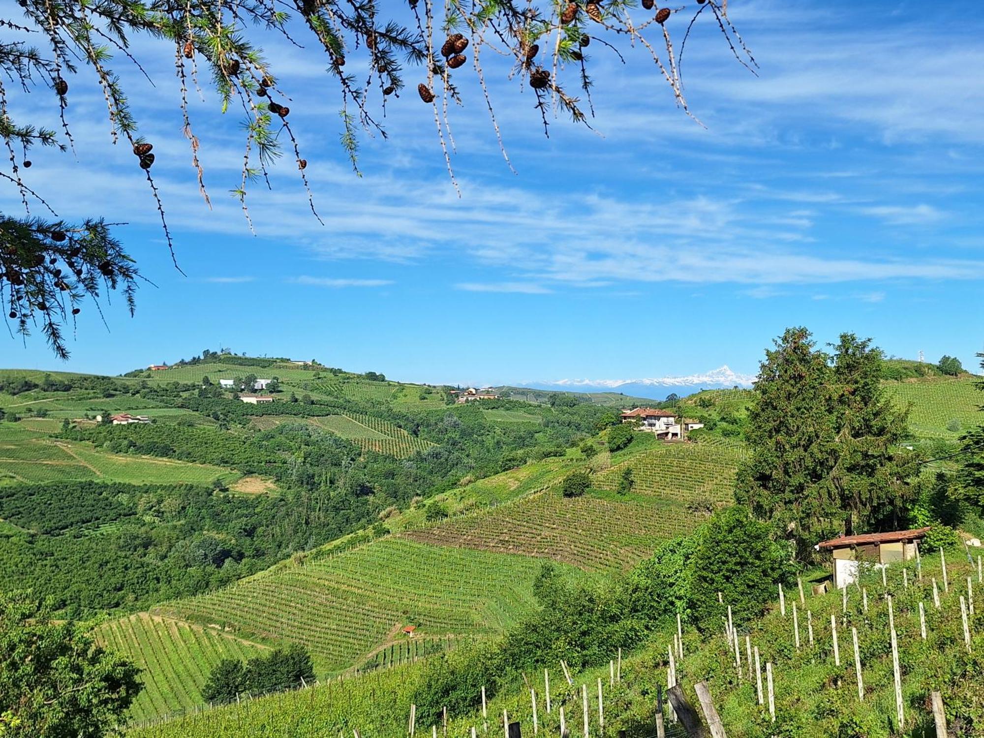Agriturismo Ca Trinche Camo Eksteriør billede